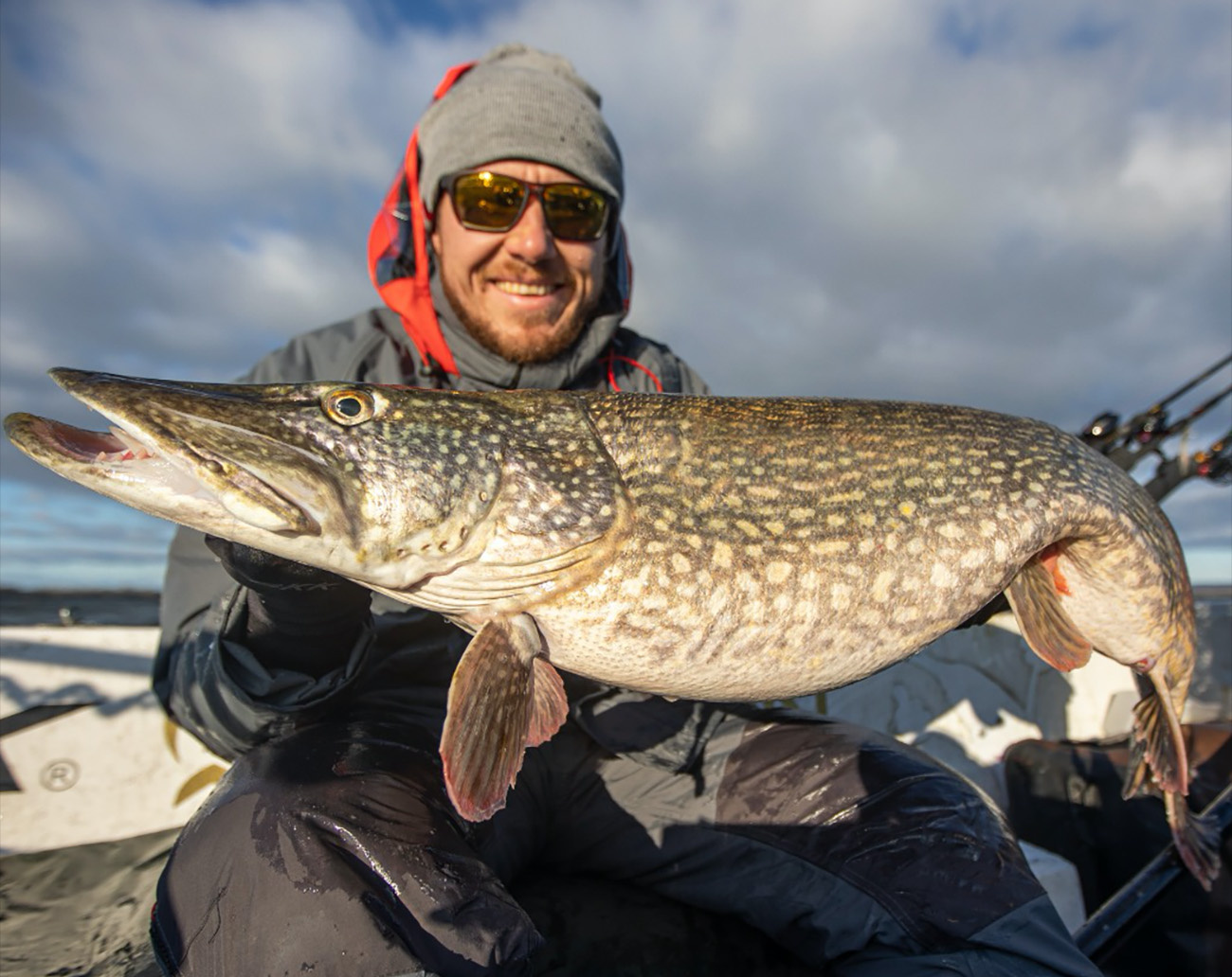  Westin W6 Bait Caster Stealth Gold - 300 Series High Speed